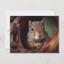 Squirrel Postcard