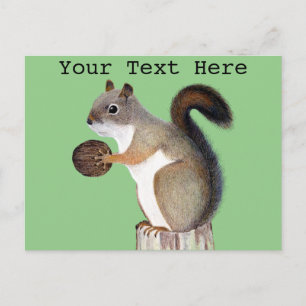 Squirrel Postcard
