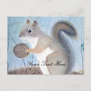 Squirrel Postcard
