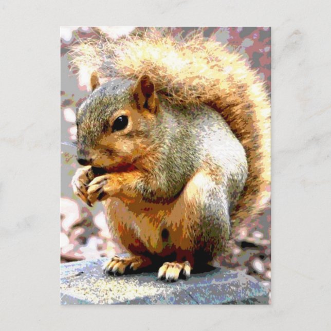 Squirrel Postcard (Front)