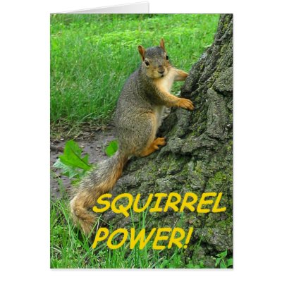 squirrel_power-r2c9e8350d916457d899e30b7ccb688ac_xvuat_8byvr_400.jpg