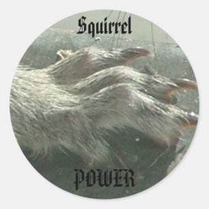Squirrel power classic round sticker