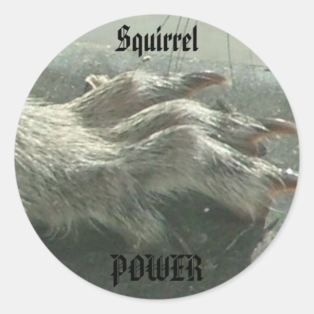 Squirrel power classic round sticker (Front)