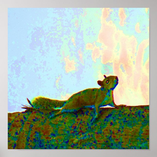 squirrel psychadelic photo poster (Front)
