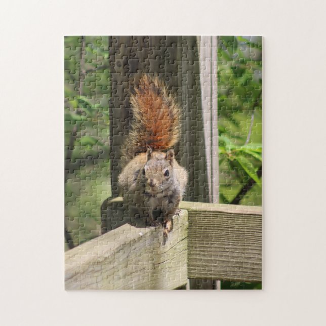 Squirrel puzzle (Vertical)