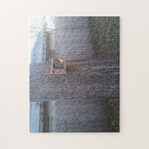 Squirrel Puzzle: Feeder squirrel Jigsaw Puzzle