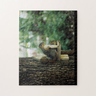 Squirrel Puzzle: Twin Squirrels Jigsaw Puzzle
