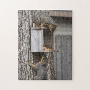 Squirrel puzzle: Two Squirrels Jigsaw Puzzle
