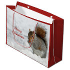 Squirrel Red Berry Snow Photo Christmas