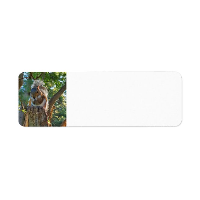 Squirrel Return Address Label (Front)