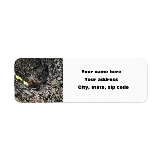 Squirrel Return Address Label (Front)