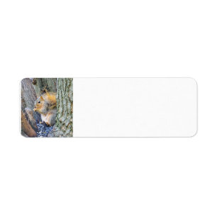 Squirrel Return Address Label