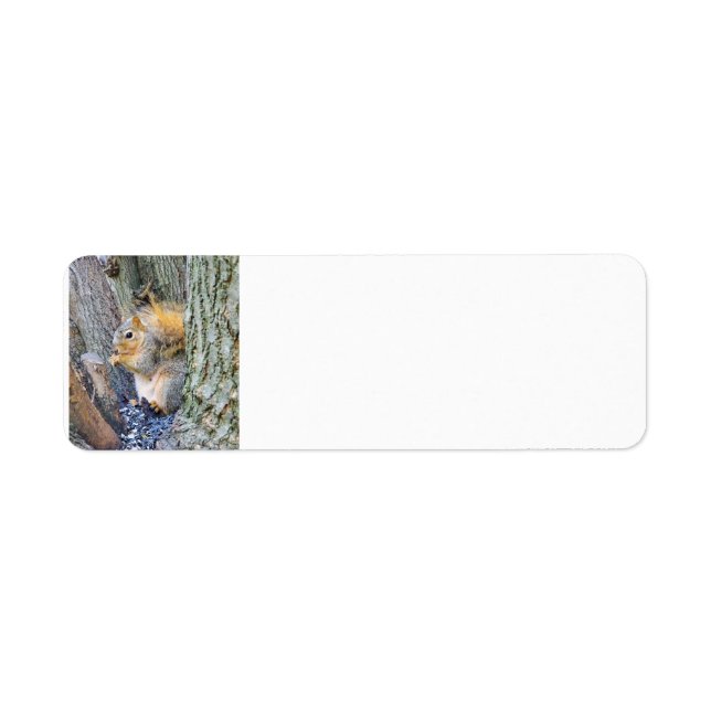 Squirrel Return Address Label (Front)