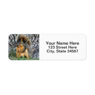 Squirrel Return Address Labels