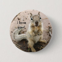 squirrel saying i love you