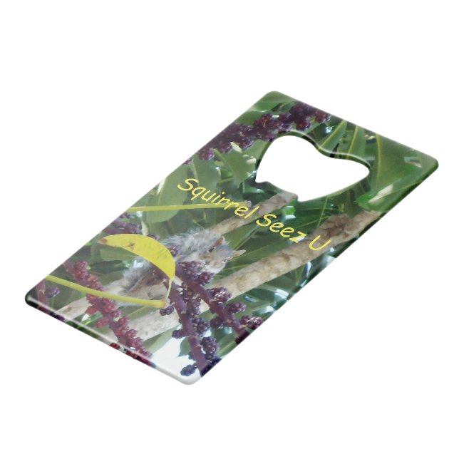 Squirrel Seez U (Front Angled)