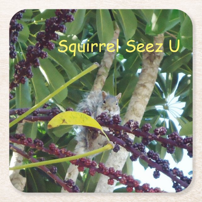 Squirrel Seez U Square Paper Coaster (Front)