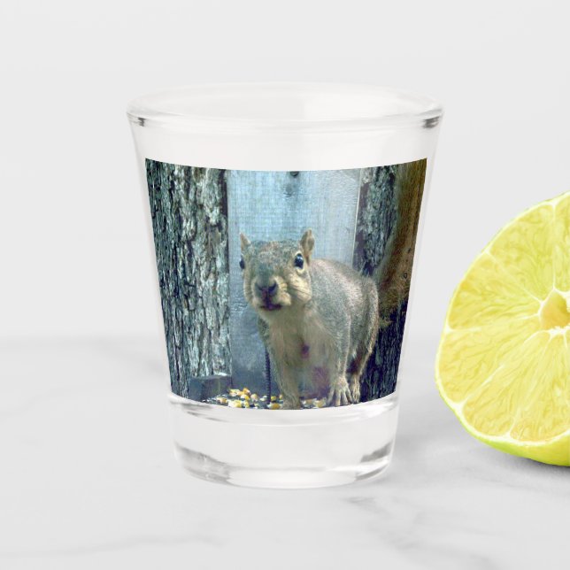 Squirrel Shot Glass (Front)