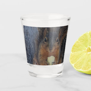 Squirrel Shot Glass