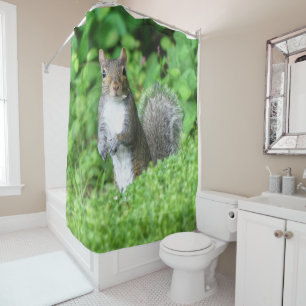 Squirrel Shower Curtain