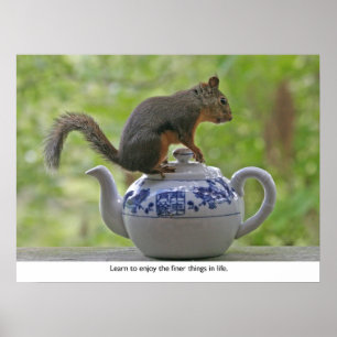Squirrel Sitting on a Teapot Poster