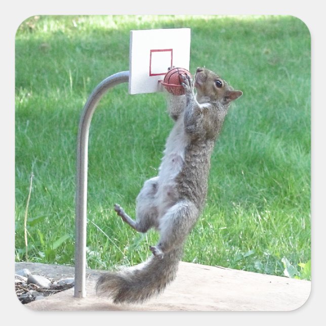 Squirrel Slam Dunk Square Sticker (Front)