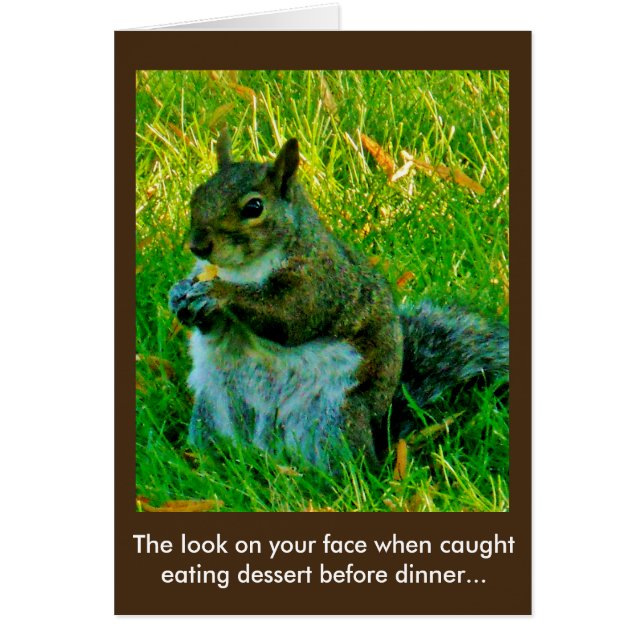 Squirrel Snack (Front)