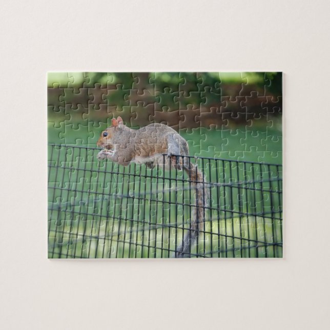 Squirrel Snacking, Jigsaw Puzzle, 8" x 10", 110 pc Puzzle (Horizontal)