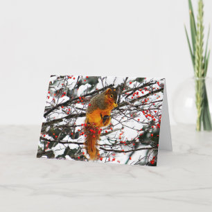 Squirrel Snow Red Berry Tree Photo Birthday Card