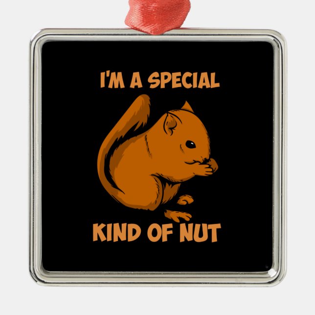 Squirrel - Special Kind Of Nut Metal Ornament (Front)