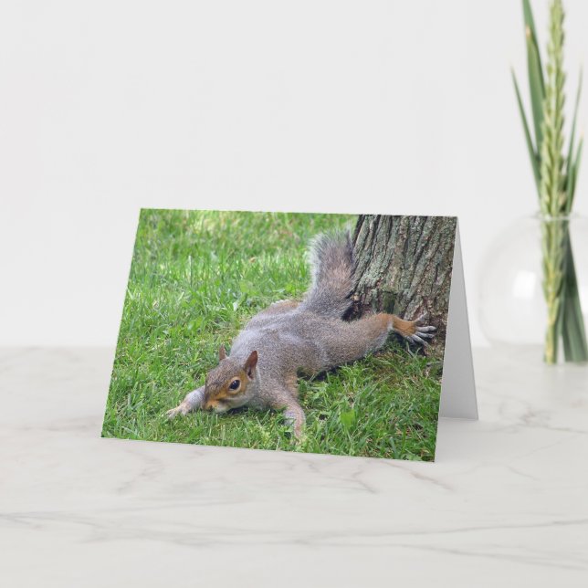 Squirrel Splat Greeting Card (Front)