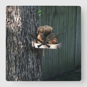 Squirrel square wall clock