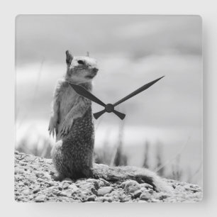 Squirrel Square Wall Clock