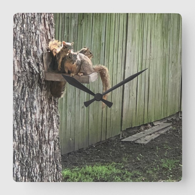 Squirrel Square Wall Clock (Front)