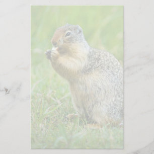 Squirrel Stationery