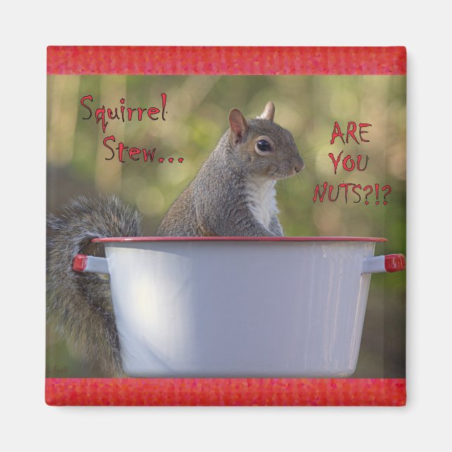 Squirrel Stew... ARE YOU NUTS?!? Magnet (Front)