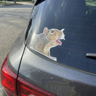 Squirrel Sticker
