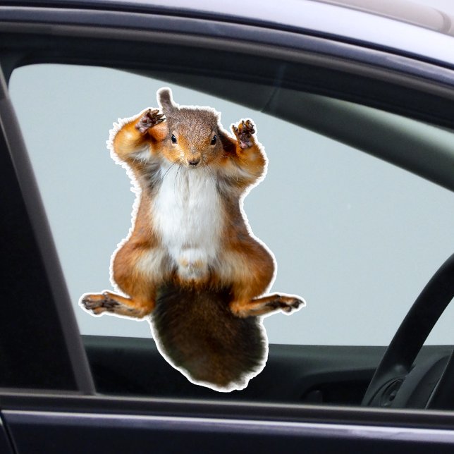 Squirrel Sticker (Squirrel Sticker)