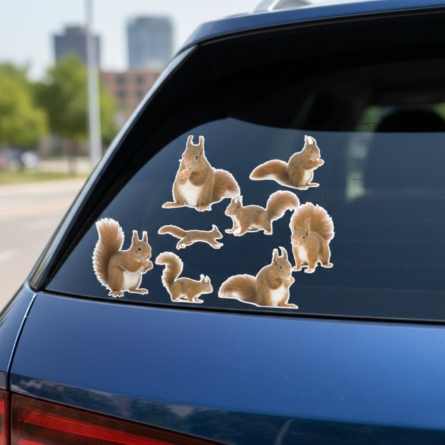 Squirrel Sticker Collection (Squirrel watching is a whole personality.)
