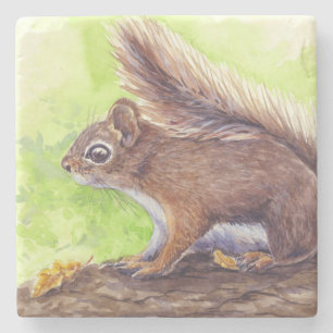 Squirrel Stone Coaster