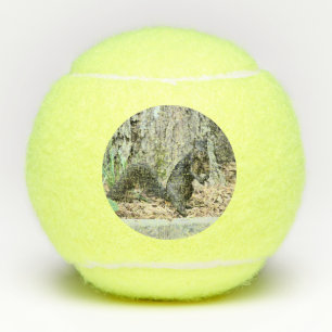 Squirrel Tennis Balls