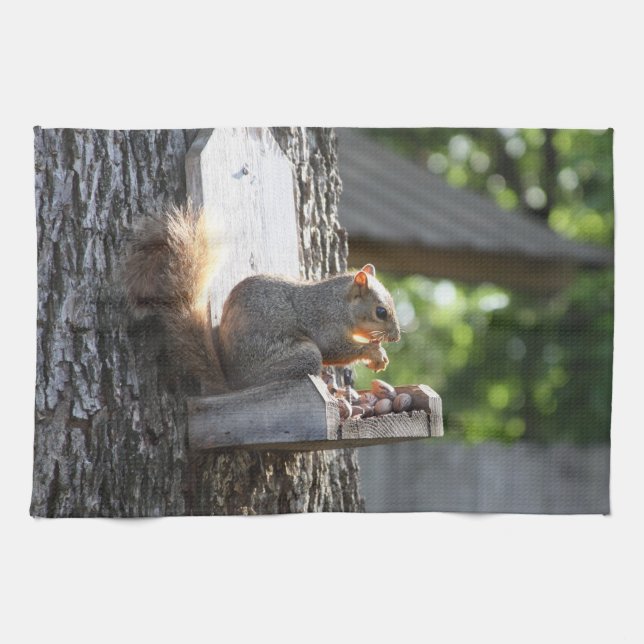 Squirrel Towels (Horizontal)