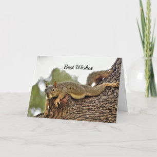 Squirrel Tree Wedding Congratulations Card