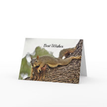 Squirrel Tree Wedding Congratulations