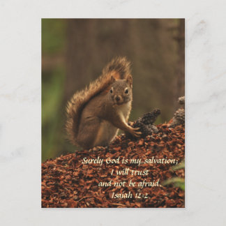 Squirrel - Trust Postcard