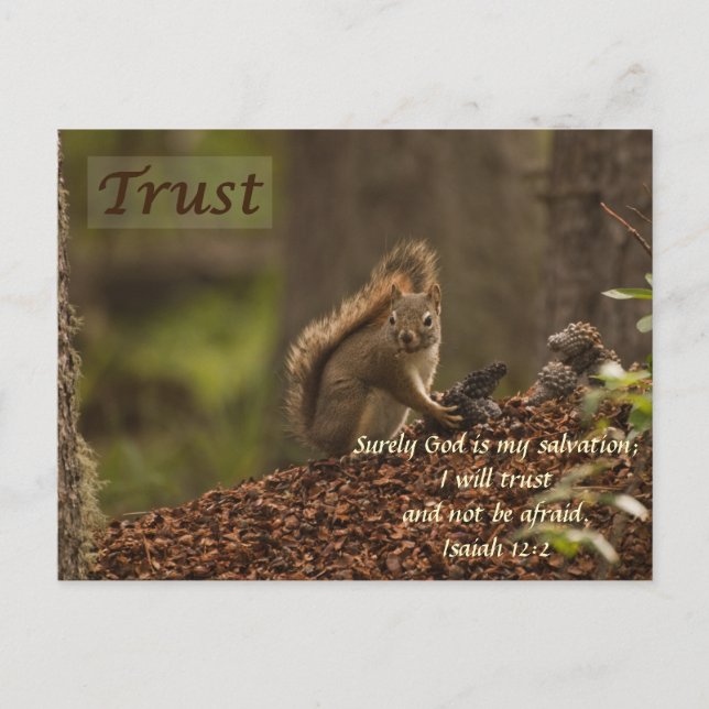 Squirrel - Trust Postcard (Front)