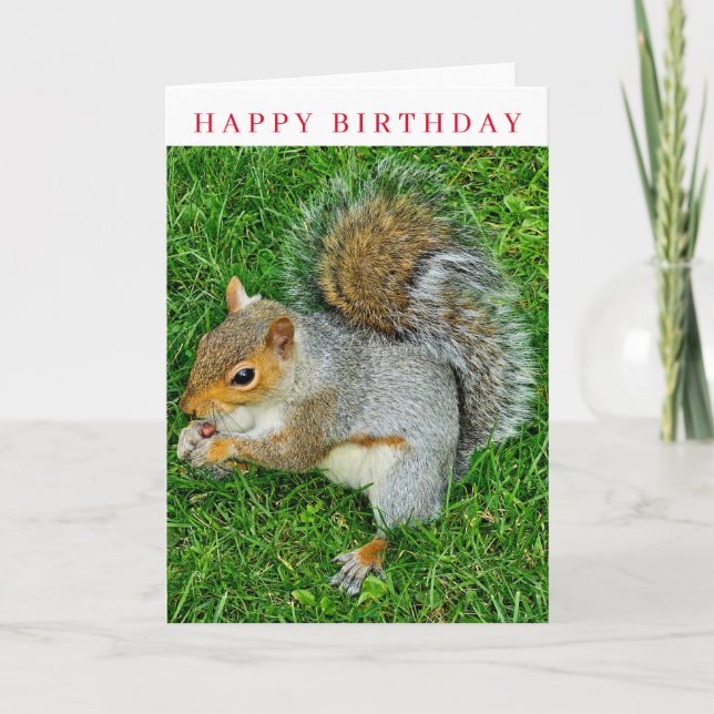 Squirrel up close birthday card (Front)