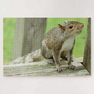 Squirrel Visitor Jigsaw Puzzle