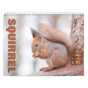 Squirrel Wall Calendar