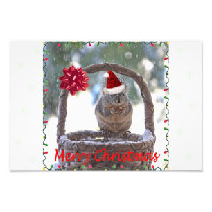 Squirrel Wearing Santa Hat Photo Print
